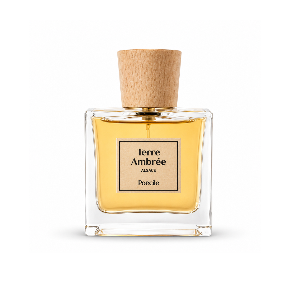 Terre Ambrée – Poécile